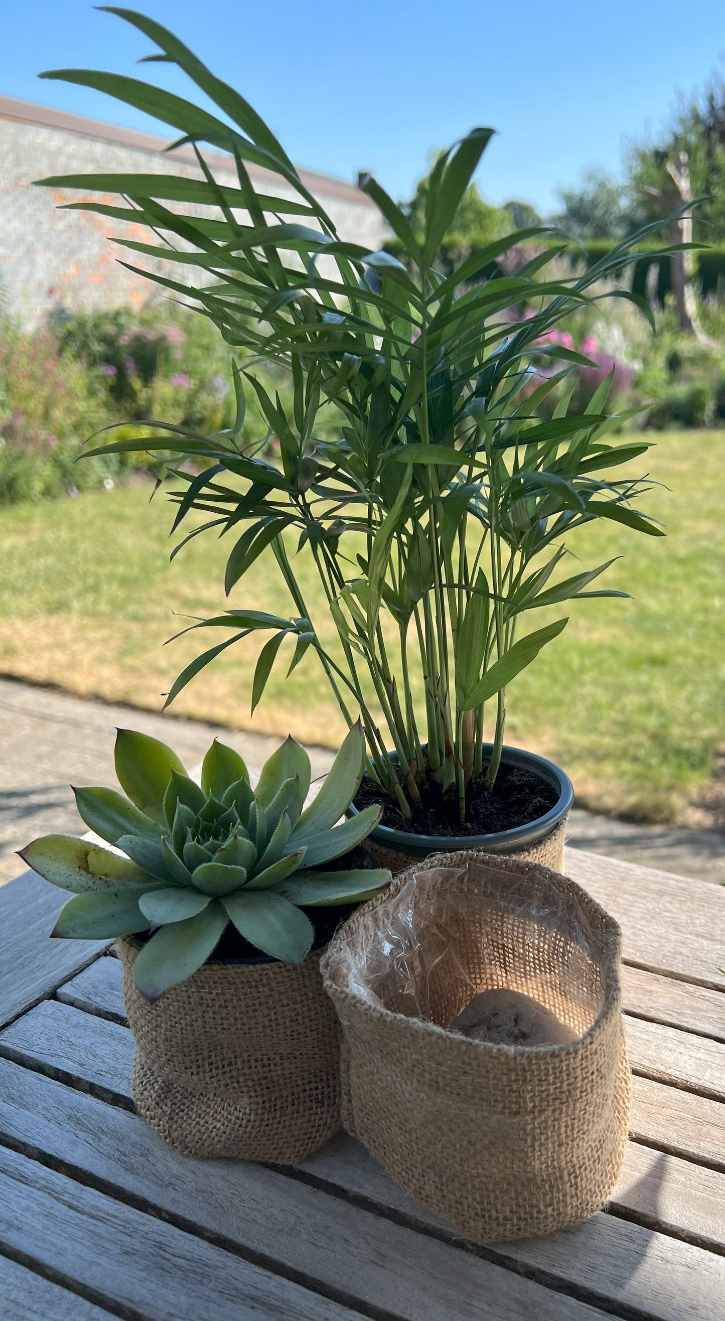 Plant pot cover bag
