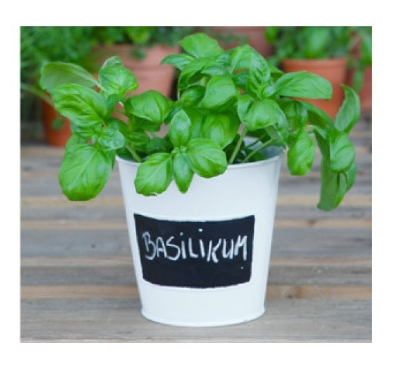 Herb pot with writable area