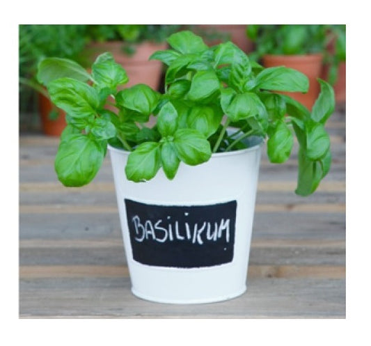 Herb pot with writable area