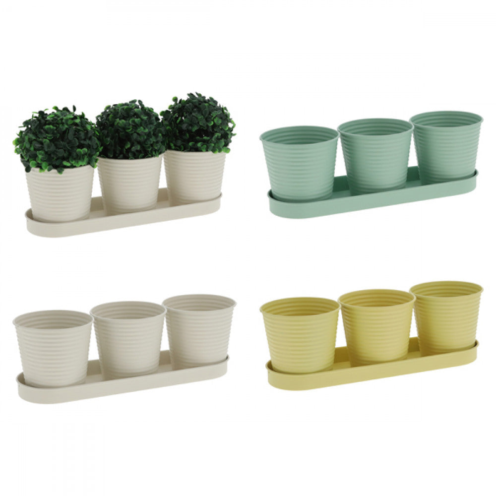 Pots de fleurs ou d'herbes sur plateau