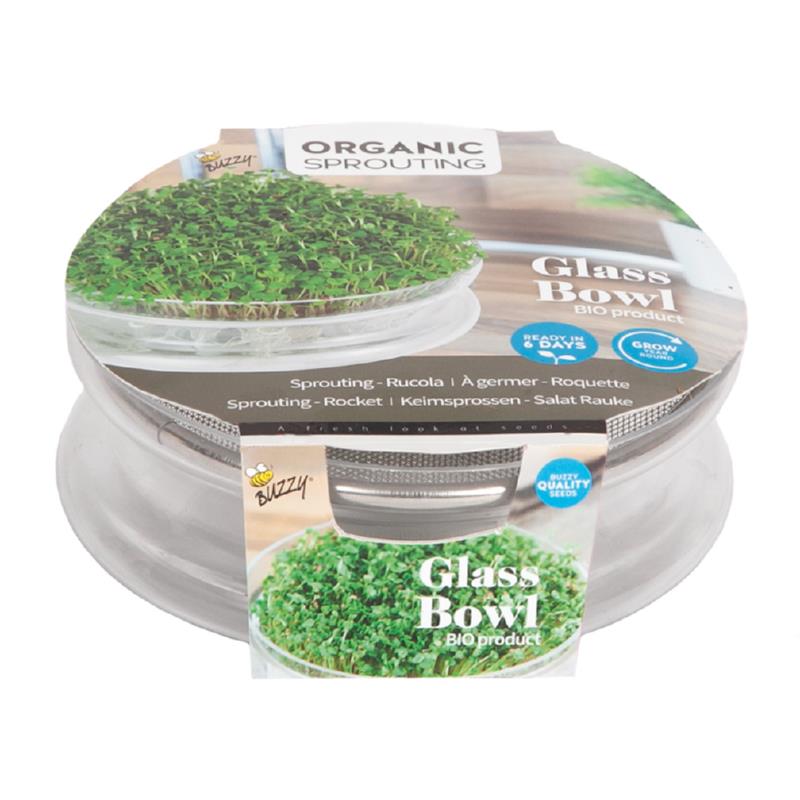 Sprouting glass bowl