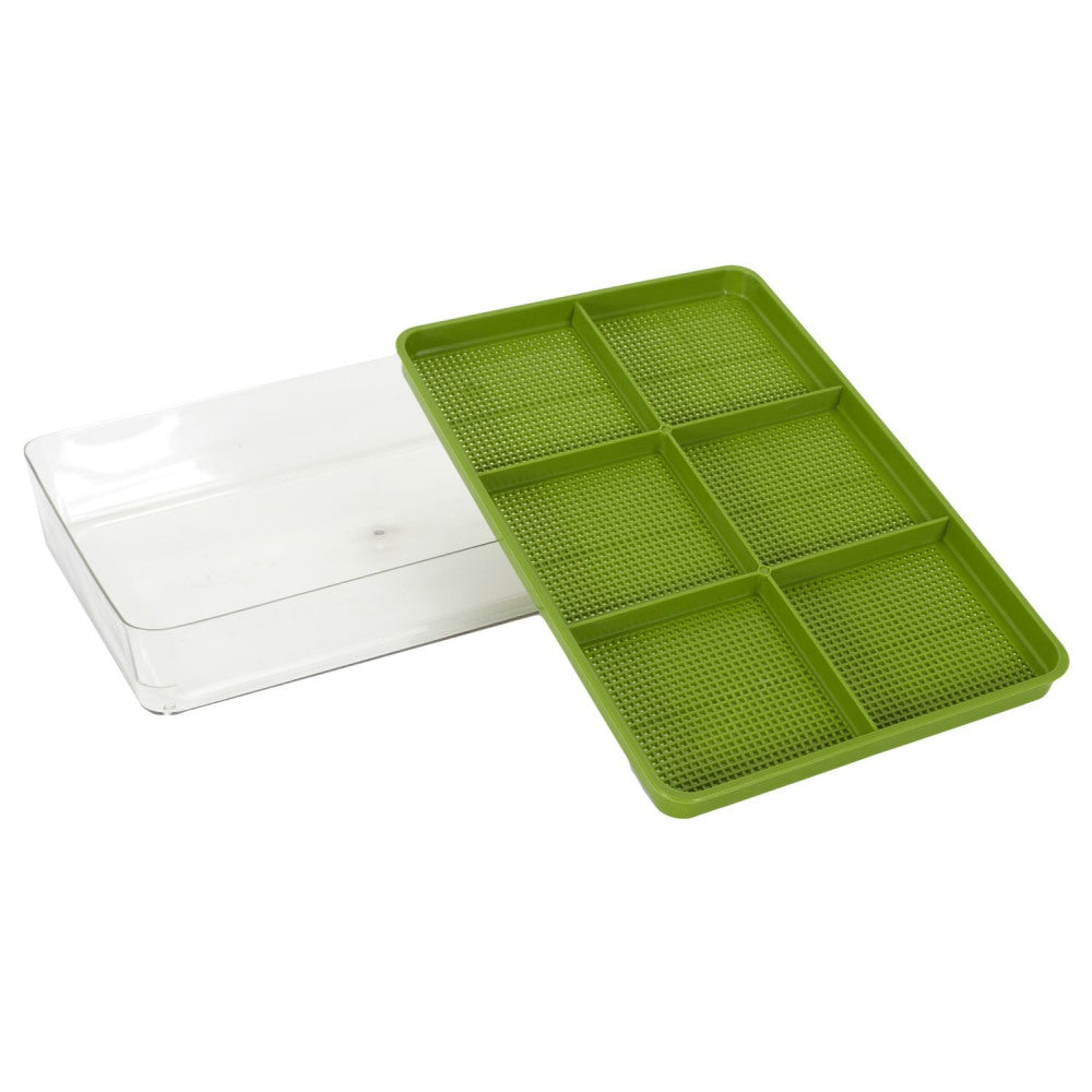Plateau de germination des germes