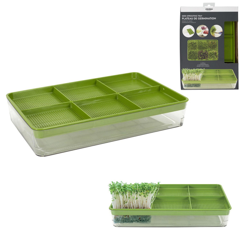 Plateau de germination des germes