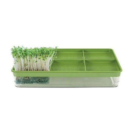 Kiembak voor microgroenten