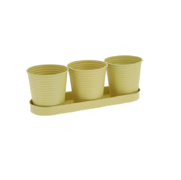 Pots de fleurs ou d'herbes sur plateau