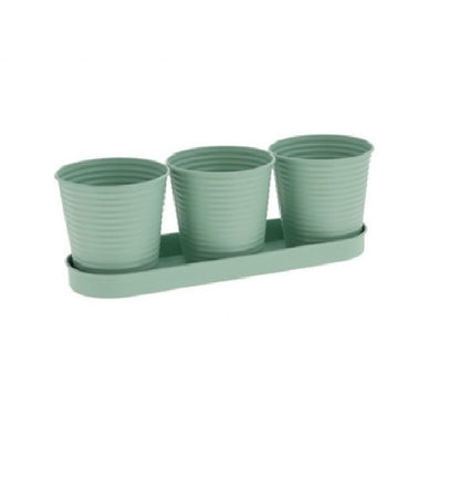 Pots de fleurs ou d'herbes sur plateau