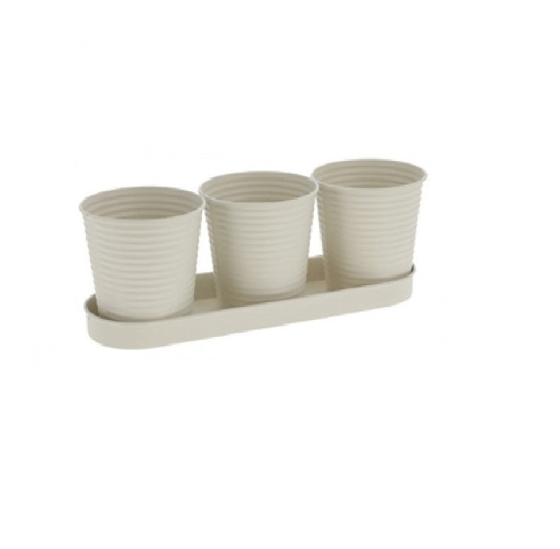 Pots de fleurs ou d'herbes sur plateau